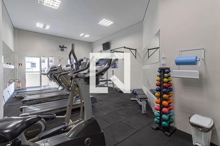 Apartamento à venda com 69m², 3 quartos e sem vaga Apartamento à venda com 69m², 3 quartos e sem vagaÁrea comum - Academia