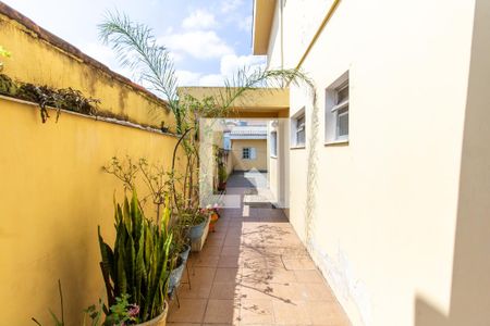 Casa à venda com 363m², 4 quartos e 4 vagas Casa à venda com 363m², 4 quartos e 4 vagasCozinha da edícula