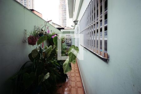 Casa à venda com 276m², 3 quartos e 7 vagas Casa à venda com 276m², 3 quartos e 7 vagasCorredor Lateral