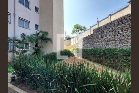 Apartamento para alugar com 40m², 2 quartos e sem vaga Apartamento para alugar com 40m², 2 quartos e sem vagaJardim