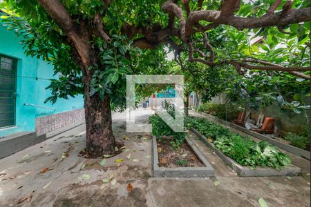 Casa à venda com 210m², 3 quartos e 2 vagasQuintal