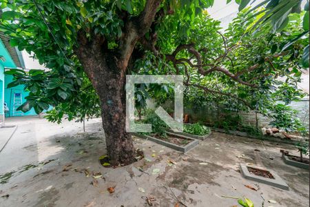 Casa à venda com 210m², 3 quartos e 2 vagasQuintal