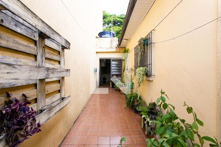 Casa à venda com 150m², 3 quartos e 1 vaga Casa à venda com 150m², 3 quartos e 1 vagaQuintal