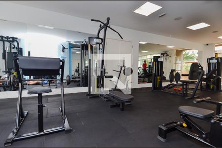 Apartamento à venda com 66m², 3 quartos e 1 vaga Apartamento à venda com 66m², 3 quartos e 1 vagaAcademia