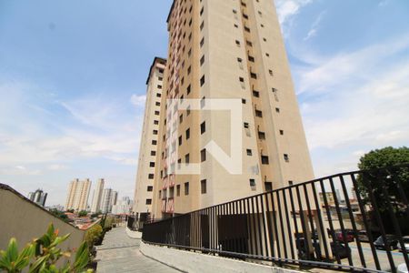 Apartamento à venda com 67m², 3 quartos e 1 vagaÁrea Comum