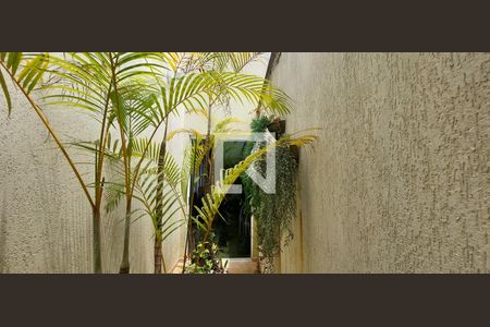 Casa à venda com 199m², 3 quartos e 4 vagas Casa à venda com 199m², 3 quartos e 4 vagasJardim de inverno