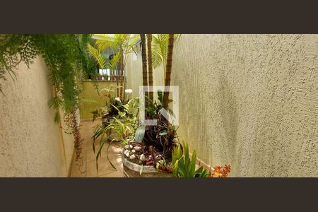 Casa à venda com 199m², 3 quartos e 4 vagas Casa à venda com 199m², 3 quartos e 4 vagasJardim de inverno