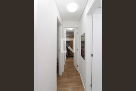 Corredor - Quartos de apartamento para alugar com 2 quartos, 47m² em Vila Gustavo, São Paulo