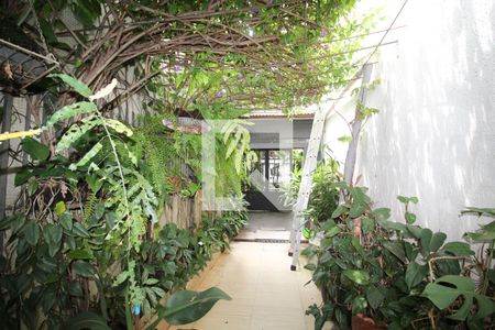 Casa à venda com 360m², 3 quartos e 3 vagas Casa à venda com 360m², 3 quartos e 3 vagasQuintal