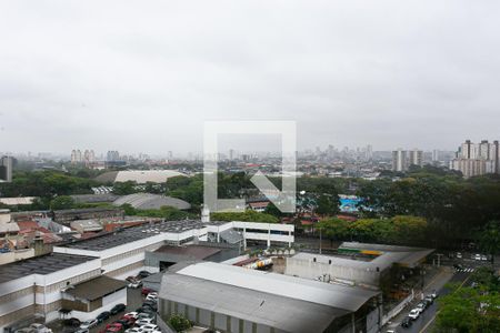 Apartamento à venda com 50m², 2 quartos e 1 vagaVista do Quarto 2