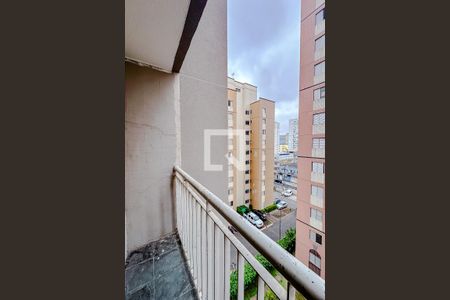 Varanda da Sala de apartamento para alugar com 3 quartos, 61m² em Cambuci, São Paulo