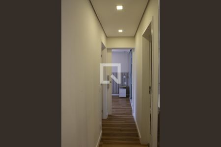 Corredor  de apartamento para alugar com 2 quartos, 78m² em Perdizes, São Paulo