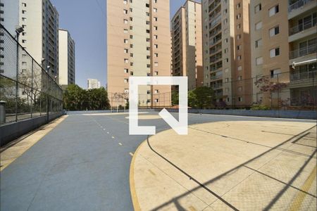 Apartamento à venda com 65m², 3 quartos e 1 vaga Apartamento à venda com 65m², 3 quartos e 1 vagaQuadra
