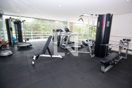 Apartamento à venda com 278m², 4 quartos e 4 vagasÁrea comum - Academia