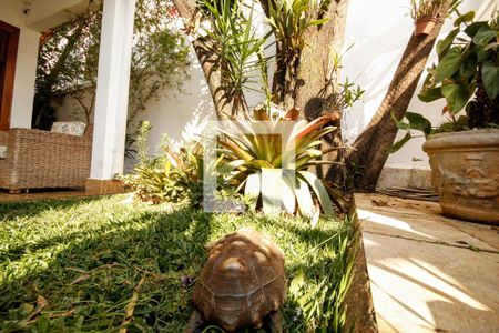 Casa para alugar com 400m², 5 quartos e 4 vagasÁrea comum