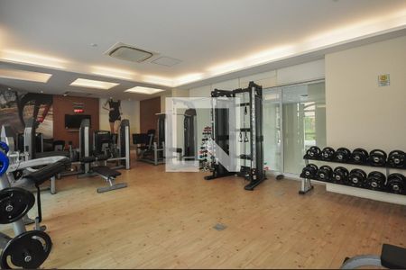 Apartamento à venda com 65m², 1 quarto e 2 vagas Apartamento à venda com 65m², 1 quarto e 2 vagasÁrea comum - Academia