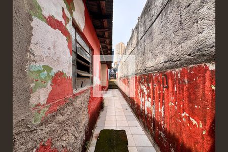 Casa à venda com 200m², 3 quartos e 1 vaga Casa à venda com 200m², 3 quartos e 1 vagaQuintal