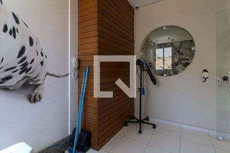 Apartamento à venda com 111m², 3 quartos e 2 vagaspet care