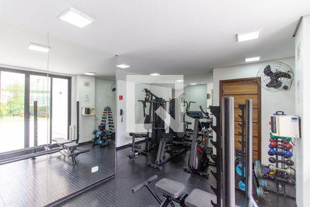 Apartamento à venda com 80m², 3 quartos e 1 vaga Apartamento à venda com 80m², 3 quartos e 1 vagaÁrea comum - Academia