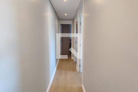 Corredor Quartos de apartamento para alugar com 2 quartos, 45m² em Jardim São Vicente, Campinas