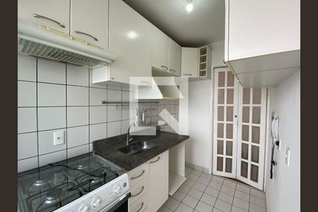Cozinha de apartamento para alugar com 2 quartos, 48m² em Vila Isa, São Paulo