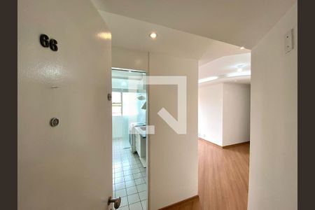 Cozinha de apartamento para alugar com 2 quartos, 48m² em Vila Isa, São Paulo