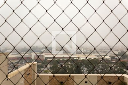 Apartamento à venda com 239m², 4 quartos e 4 vagasSuíte 4