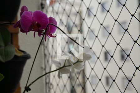 Apartamento à venda com 72m², 2 quartos e 2 vagasVaranda da Sala