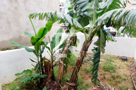 Casa à venda com 69m², 1 quarto e 2 vagas Casa à venda com 69m², 1 quarto e 2 vagasQuintal