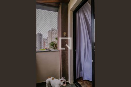 Apartamento à venda com 97m², 3 quartos e 2 vagasVaranda