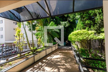 Apartamento à venda com 57m², 3 quartos e 1 vaga Apartamento à venda com 57m², 3 quartos e 1 vagaÁrea comum