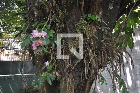 Casa à venda com 712m², 5 quartos e 6 vagasÁrea Verde