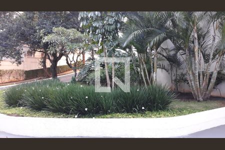 Apartamento para alugar com 105m², 3 quartos e 2 vagas Apartamento para alugar com 105m², 3 quartos e 2 vagasÁrea Externa