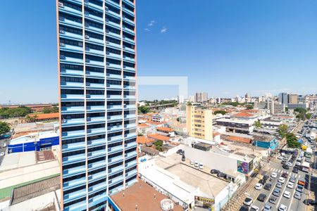 Apartamento para alugar com 110m², 3 quartos e sem vaga Apartamento para alugar com 110m², 3 quartos e sem vagaVista do Quarto 01