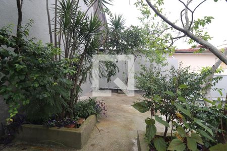 Casa para alugar com 250m², 5 quartos e 3 vagasQuintal