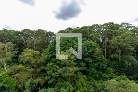 Apartamento à venda com 50m², 2 quartos e 1 vagaQuarto 1 - Vista