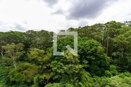 Apartamento à venda com 50m², 2 quartos e 1 vagaQuarto 2 - Vista