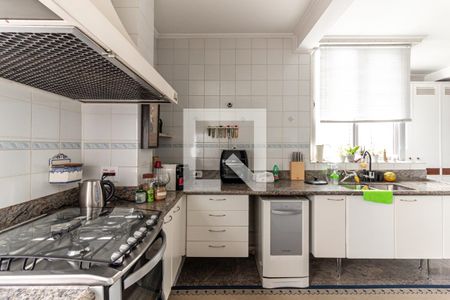 Apartamento à venda com 295m², 3 quartos e 2 vagasCozinha