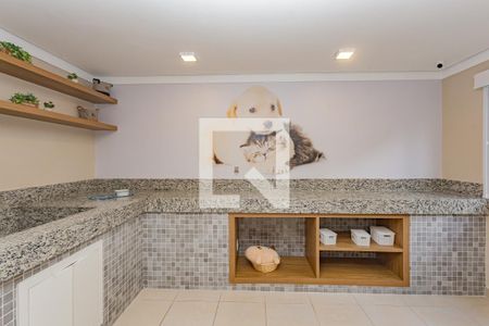 Apartamento para alugar com 32m², 2 quartos e sem vaga Apartamento para alugar com 32m², 2 quartos e sem vagaPet care