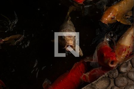 Apartamento à venda com 124m², 4 quartos e 3 vagasÁrea comum - Lago