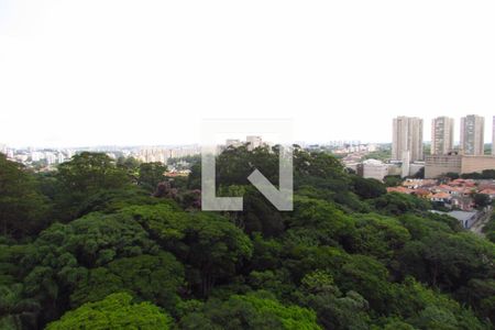 Apartamento à venda com 70m², 3 quartos e 1 vagaQuarto 1