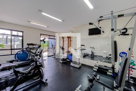 Apartamento para alugar com 228m², 3 quartos e 3 vagasÁrea comum - Academia