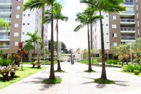 Apartamento para alugar com 233m², 3 quartos e 3 vagasÁrea Comum