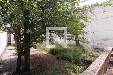 Casa à venda com 300m², 1 quarto e 10 vagas Casa à venda com 300m², 1 quarto e 10 vagasQuintal