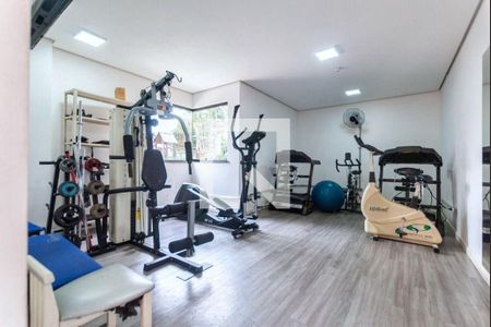 Apartamento à venda com 3 quartos, 84m² em Vila Zilda, São Paulo