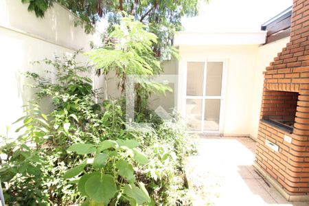 Casa à venda com 200m², 3 quartos e 6 vagasCozinha - Quintal