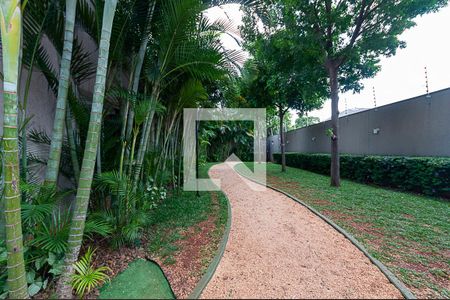 Apartamento à venda com 62m², 2 quartos e 1 vaga Apartamento à venda com 62m², 2 quartos e 1 vagaÁrea Comum - Pista de Caninhada