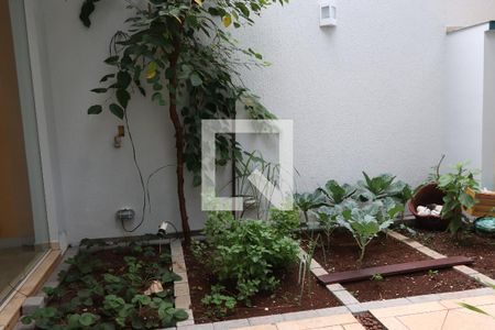 Casa à venda com 260m², 3 quartos e 6 vagasQuintal