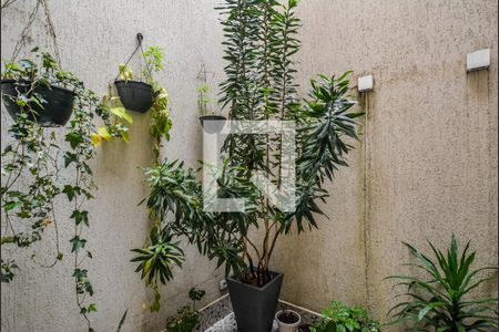 Casa à venda com 270m², 3 quartos e 4 vagasJardim de Inverno