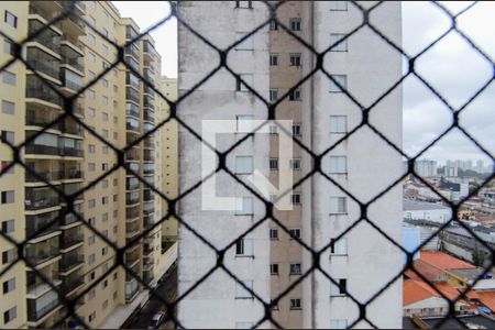 Apartamento à venda com 60m², 3 quartos e 1 vaga Apartamento à venda com 60m², 3 quartos e 1 vagaVista do Quarto 2